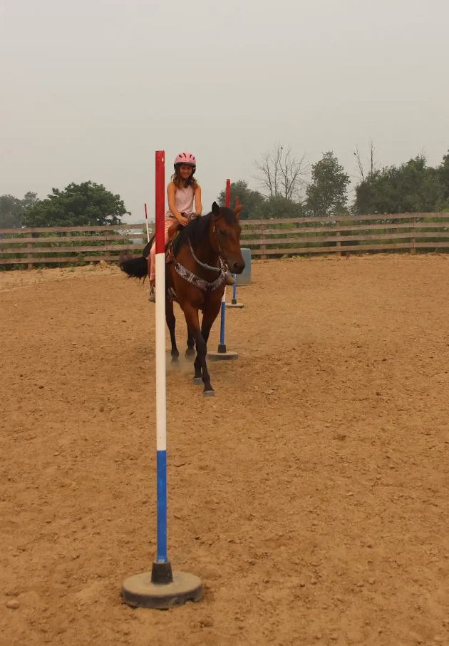 Rodeo Camp