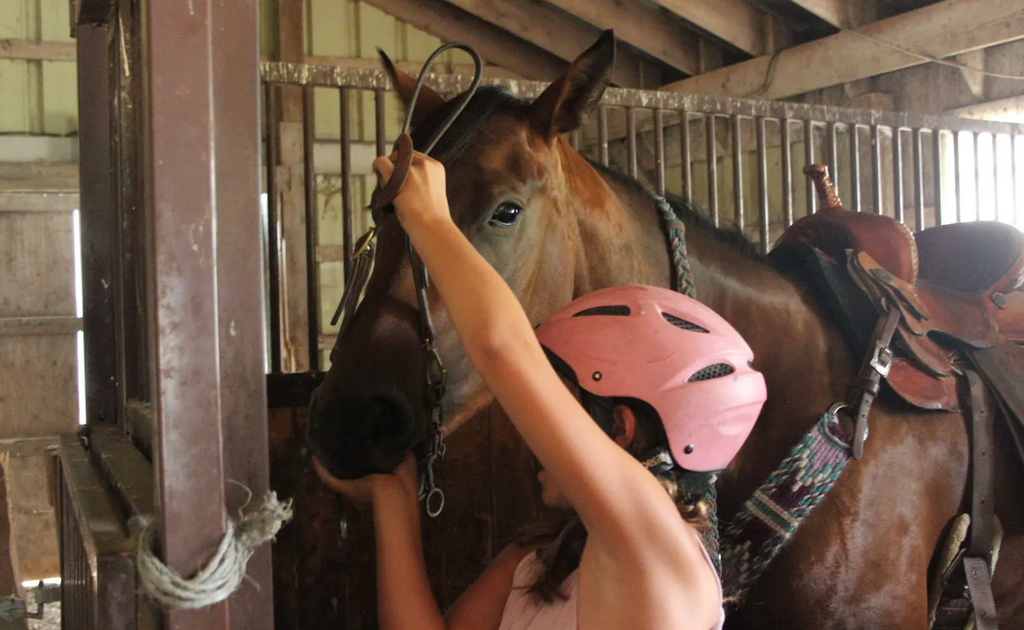 Rodeo Camp